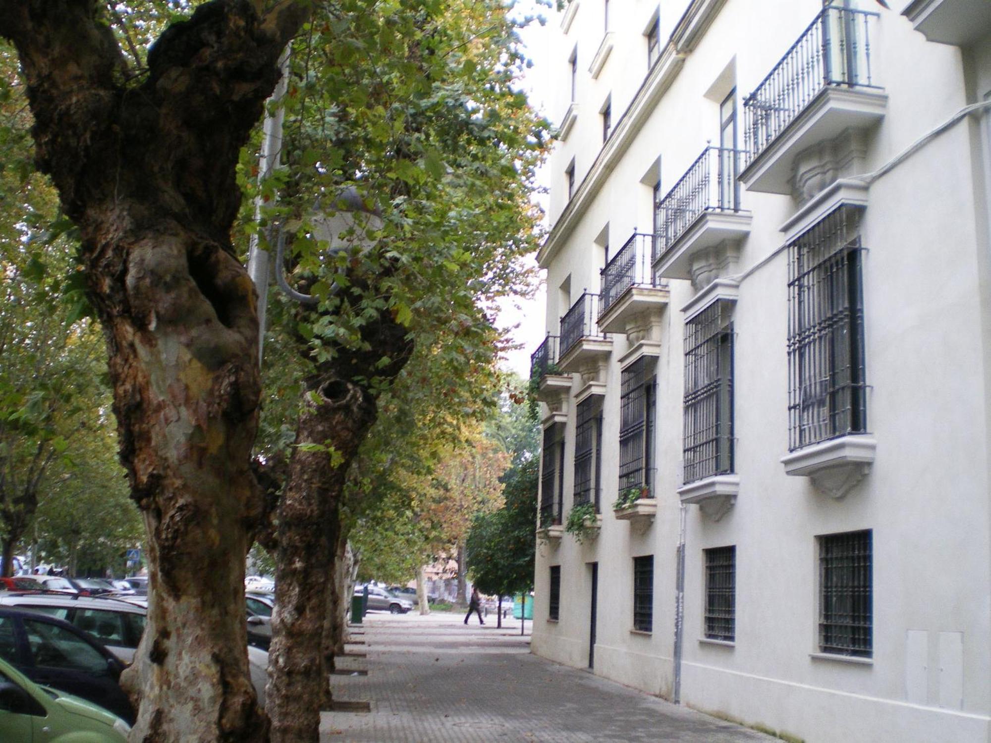 Apartamentos Murallas De Sevilla Exterior photo