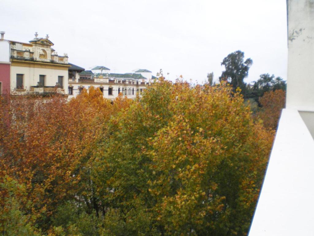 Apartamentos Murallas De Sevilla Exterior photo
